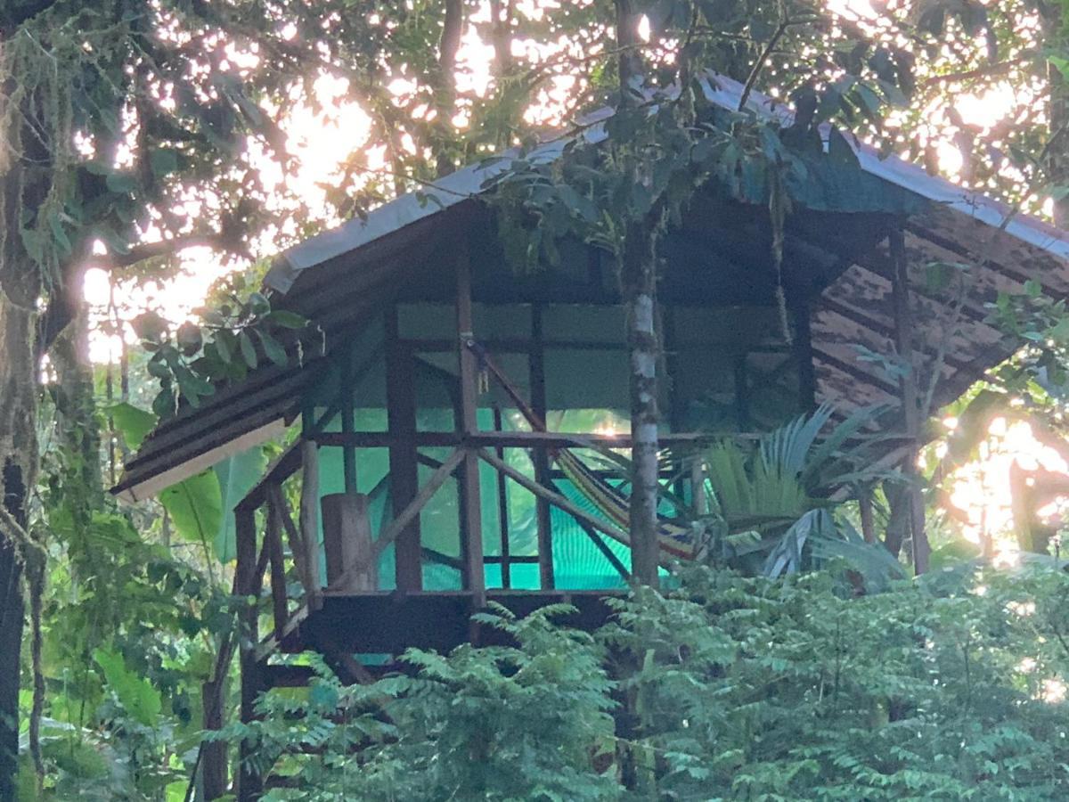 Rio Agujitas Eco Farm Hostel And Tours Drakes Bay Exterior foto