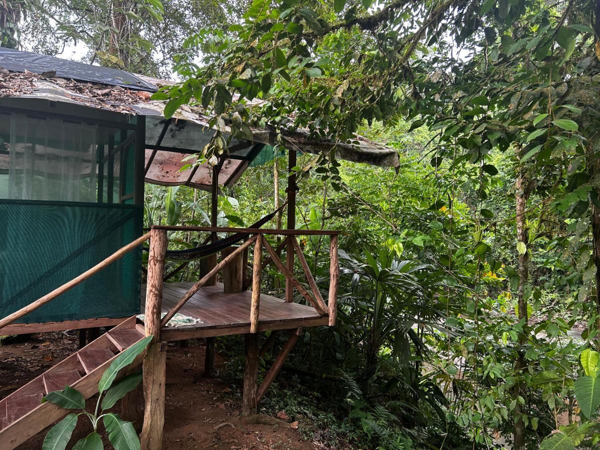 Rio Agujitas Eco Farm Hostel And Tours Drakes Bay Exterior foto